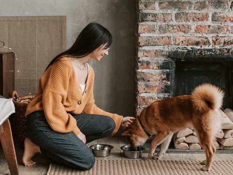 Spoznajte ključne prednosti brezglutenske hrane za pse